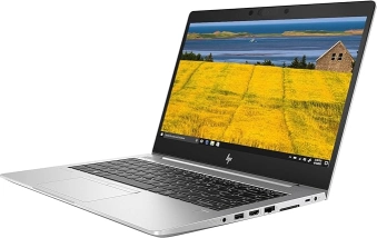 Laptop Hp EliteBook 745 G5 - R5 - 8 GB RAM - 512GB SSD -  AMD 1 GB Graphics  GPU