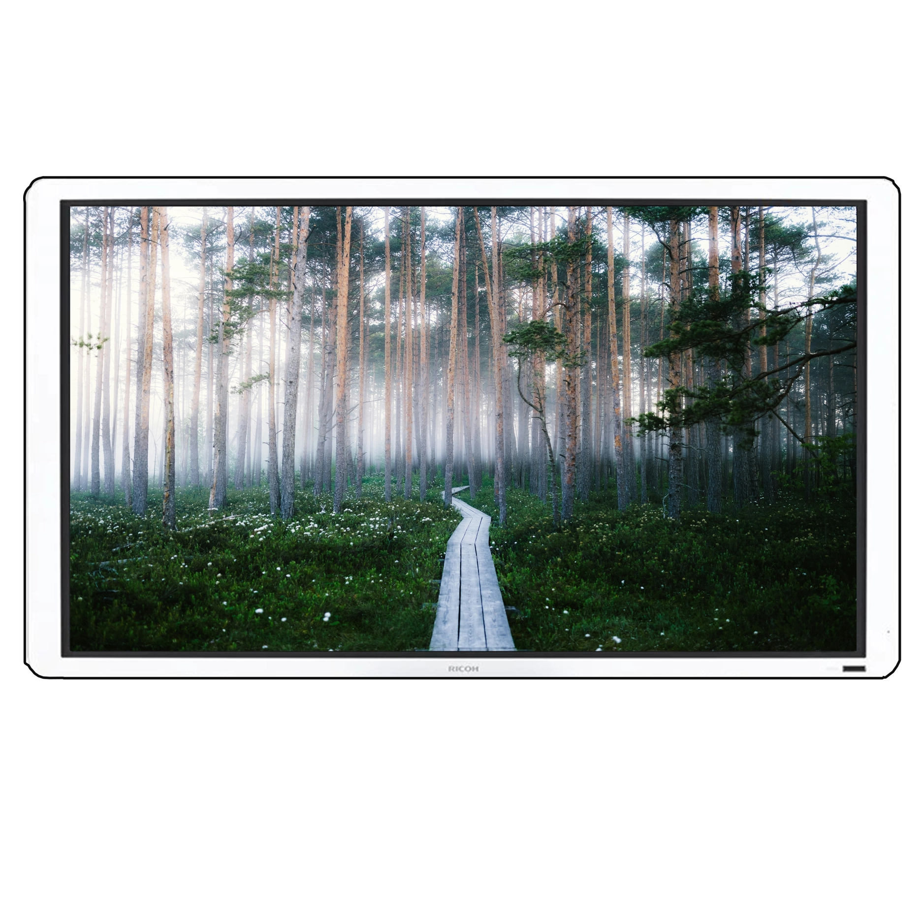 Ricoh Interactive Screen D5500 - 55 inch Ricoh Interactive Screen D5500 - 55 inch